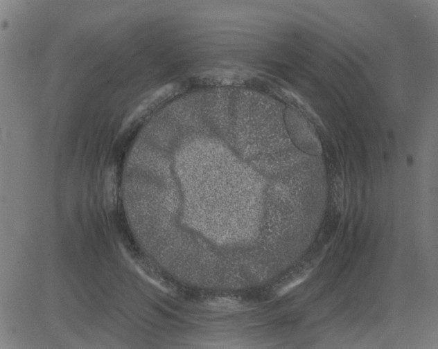 X0000081410594200702092111