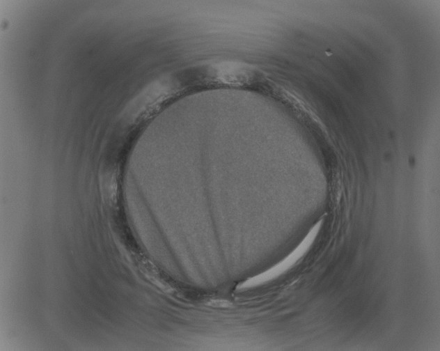 X0000081410595200702092111