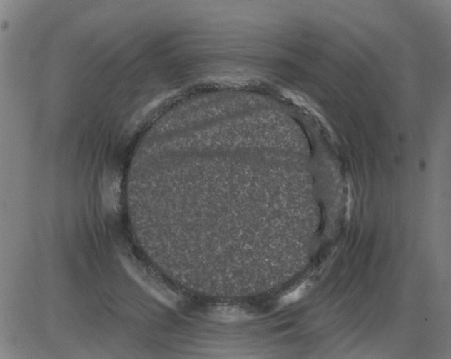 X0000081410596200702092111