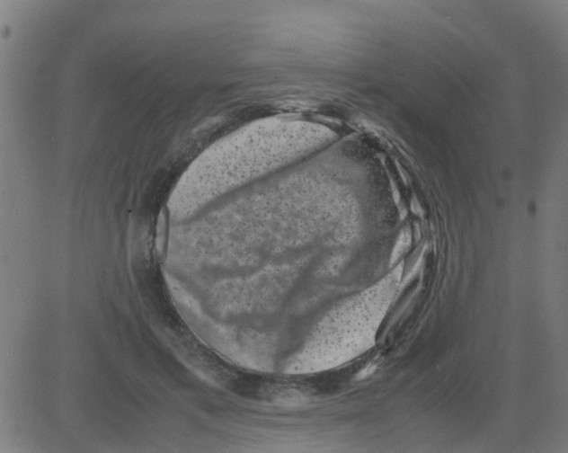 X0000081410597200702092111