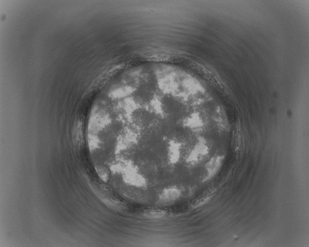 X0000081410598200702092111