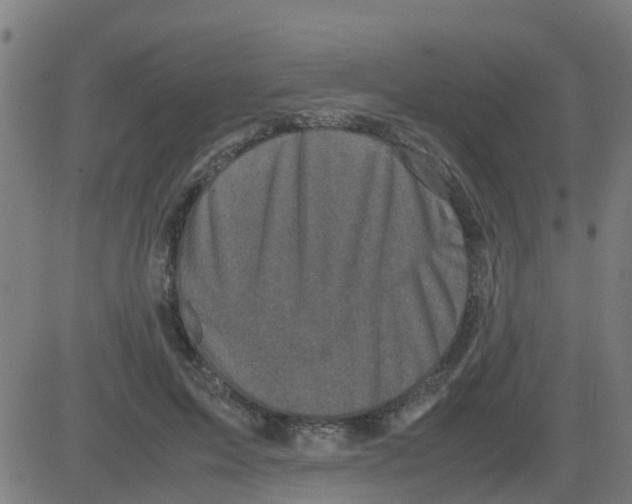 X0000081410599200702092111