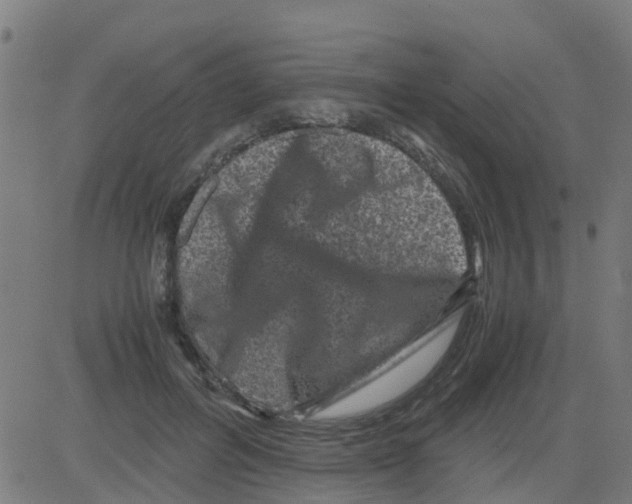 X0000081410600200702092111