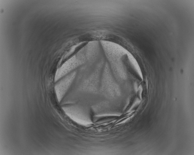 X0000081410601200702092110