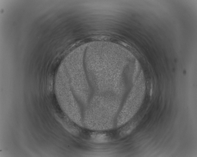 X0000081410602200702092110