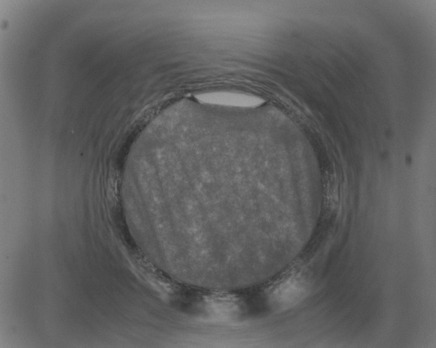 X0000081410603200702092110