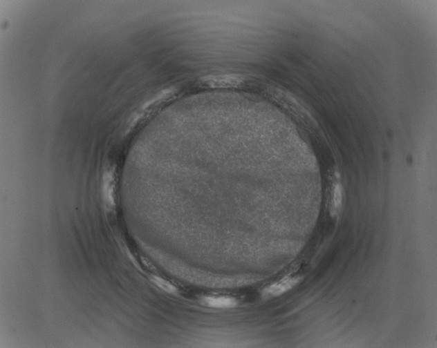 X0000081410604200702092110