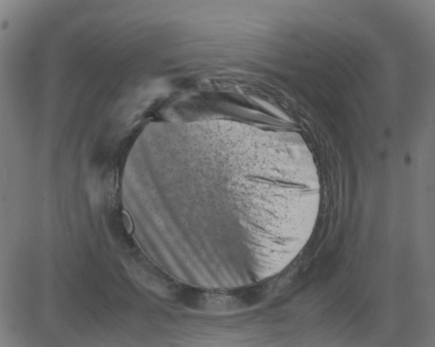 X0000081410605200702092110