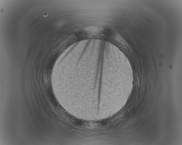 X0000081410607200702092110