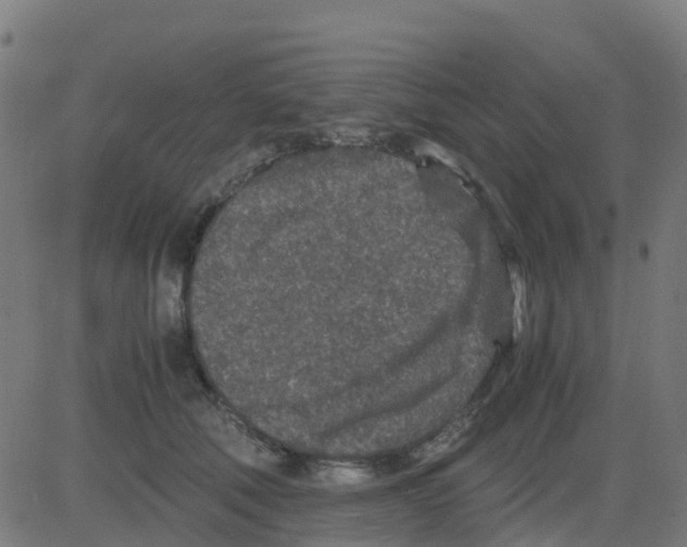 X0000081410610200702092110