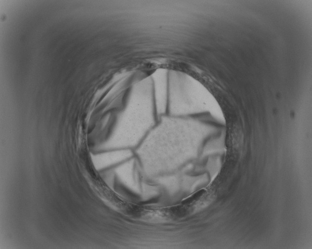 X0000081410611200702092110