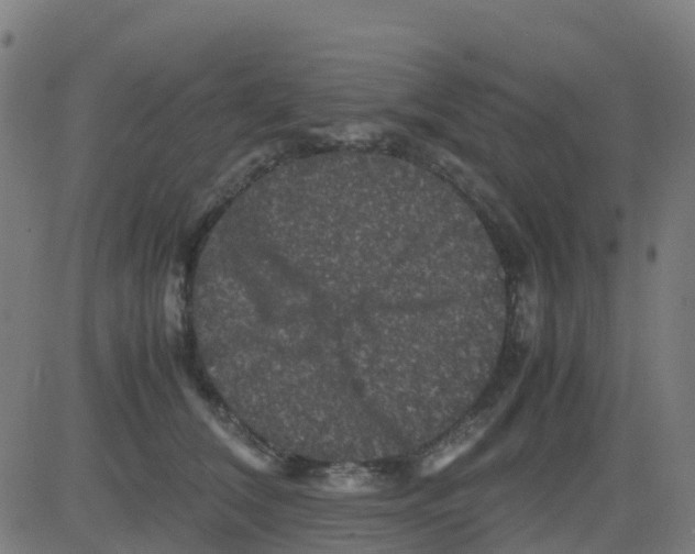 X0000081410612200702092110