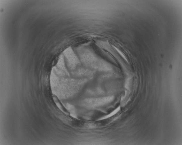 X0000081410613200702092110