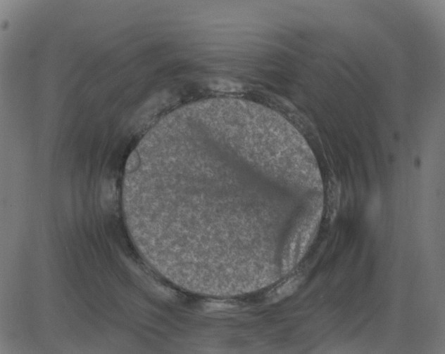 X0000081410614200702092110