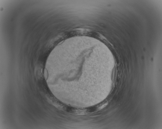 X0000081410615200702092110