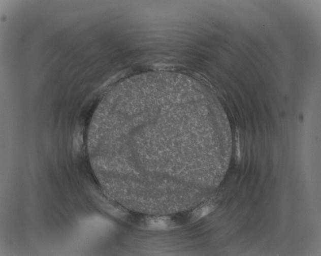 X0000081410618200702092110