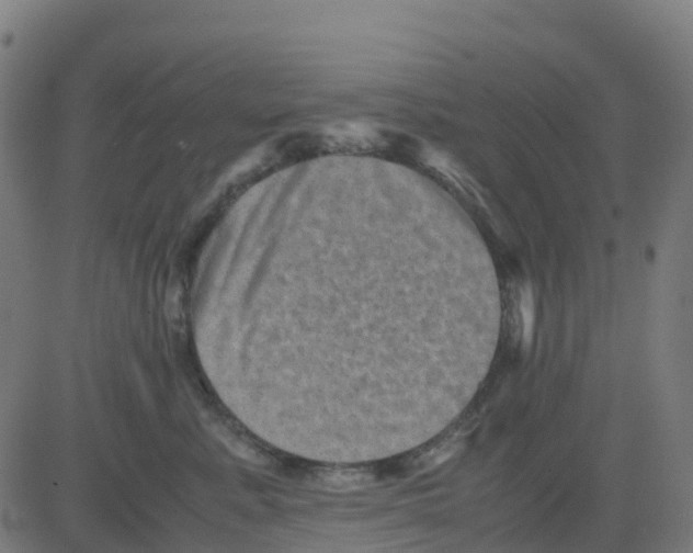 X0000081410619200702092110