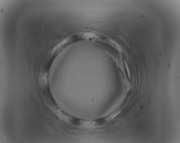 X0000081410621200702092110