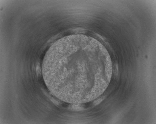 X0000081410622200702092110