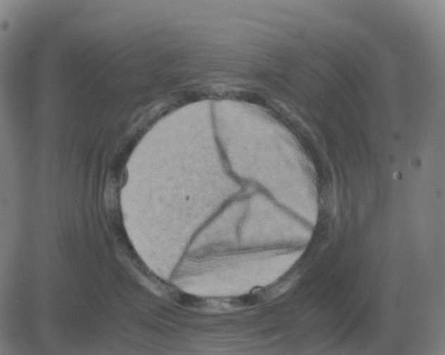 X0000081410623200702092110