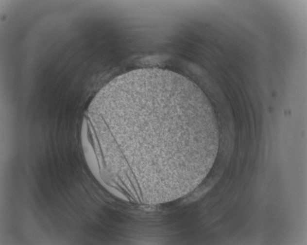 X0000081410624200702092110