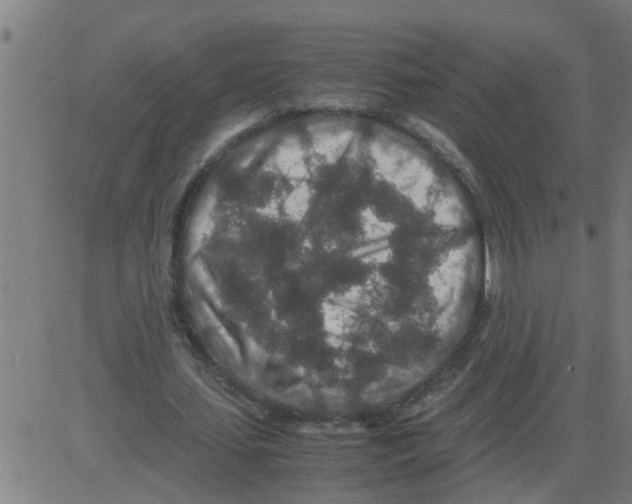 X0000081410627200702092109