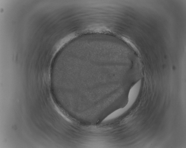 X0000081410630200702092109