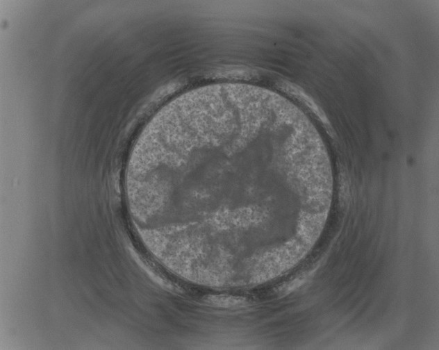 X0000081410633200702092109