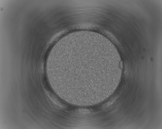 X0000081410636200702092110