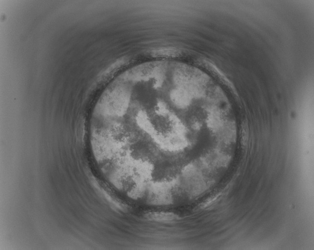 X0000081410637200702092110