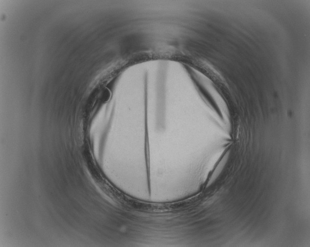 X0000081410638200702092110