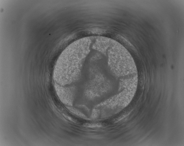 X0000081410639200702092110