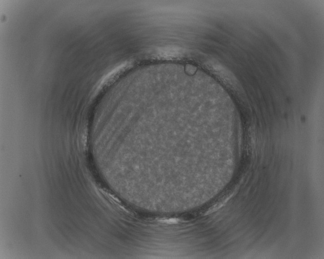 X0000081410640200702092110