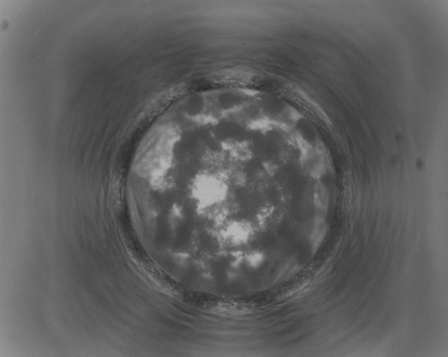 X0000081410641200702092110