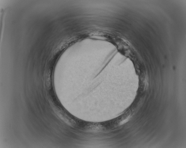 X0000081410642200702092110