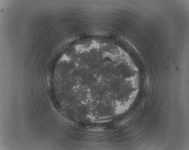 X0000081410643200702092110