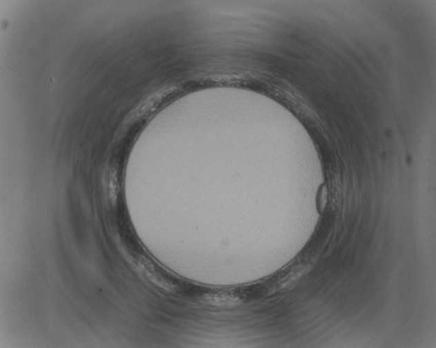 X0000081410644200702092110