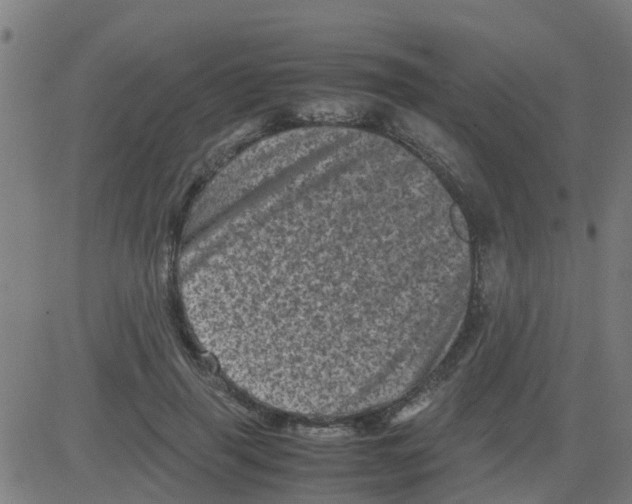 X0000081410645200702092110