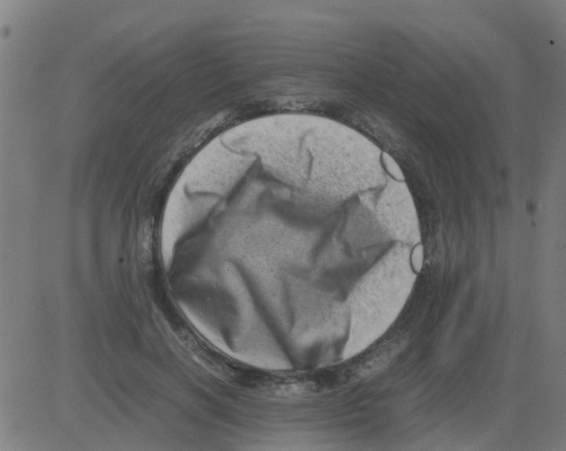 X0000081410646200702092110