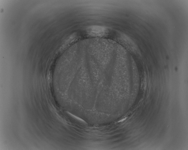 X0000081410647200702092110