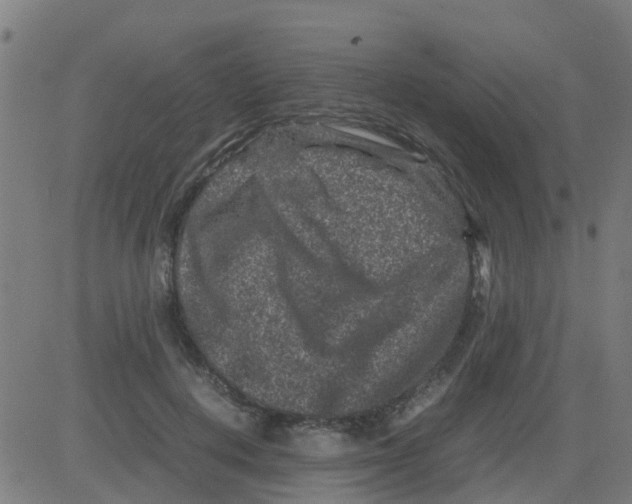 X0000081410648200702092110