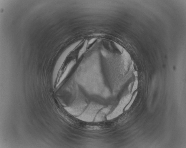 X0000081410649200702092110