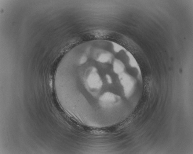 X0000081410650200702092110