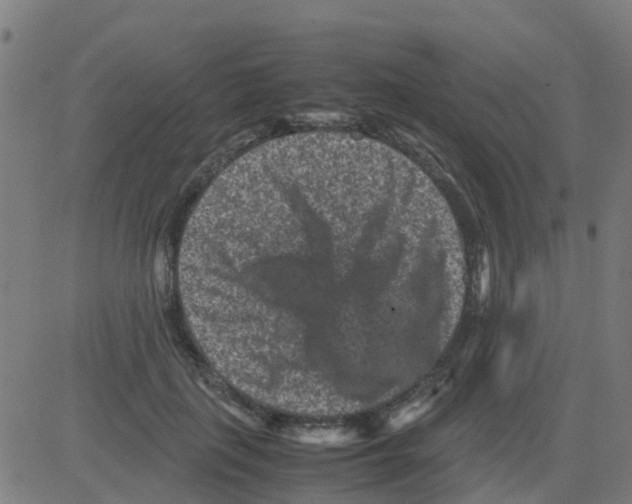 X0000081410651200702092110