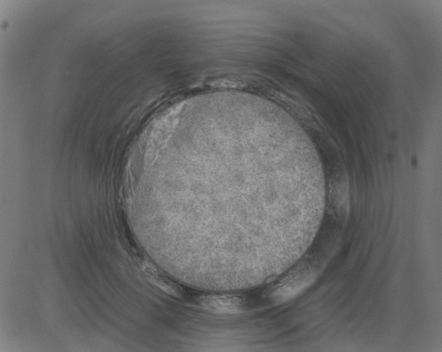 X0000081410652200702092110