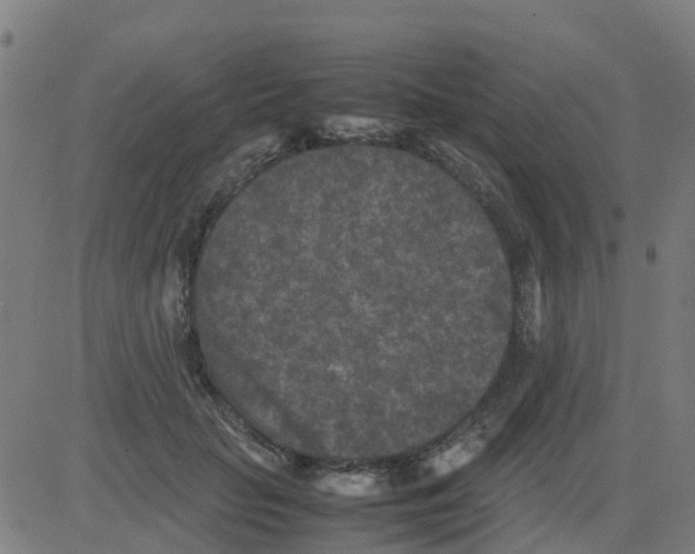 X0000081410653200702092110