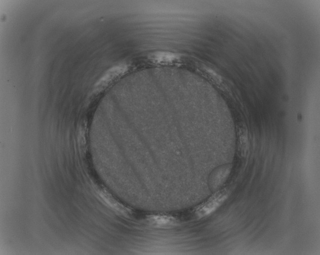 X0000081410654200702092110