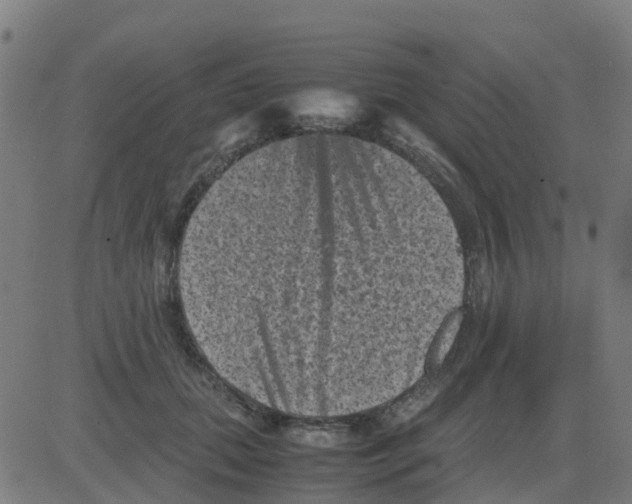 X0000081410655200702092110