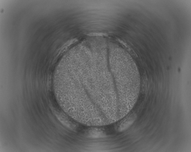 X0000081410656200702092110