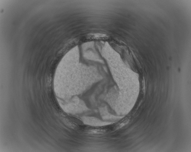 X0000081410657200702092110